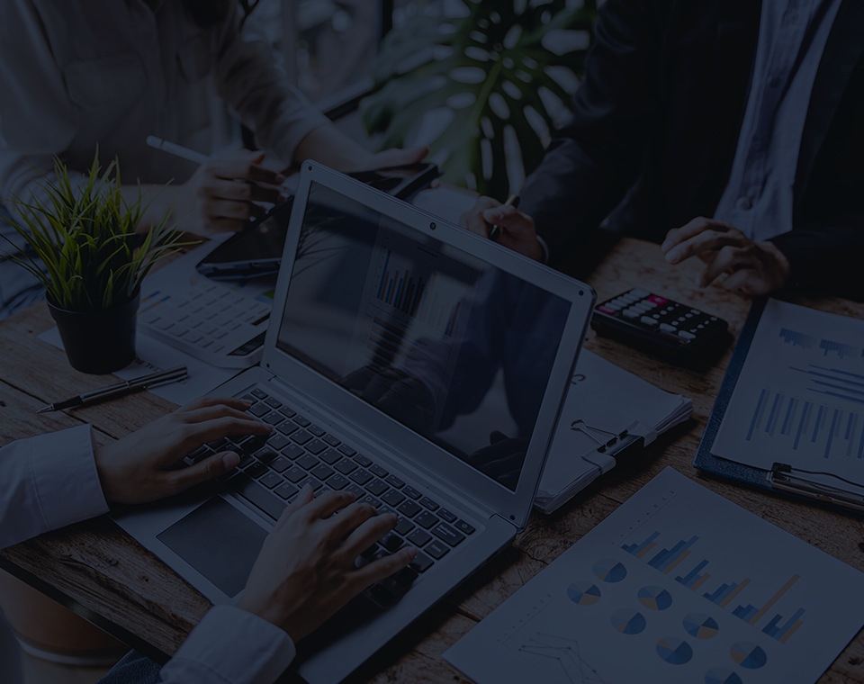 How Afghan Business Directory Works