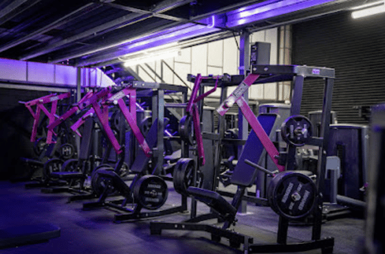 Retro Flex Gym