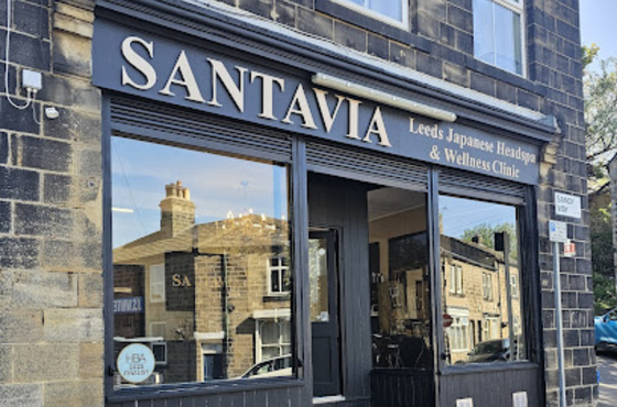 SANTAVIA HEADSPA